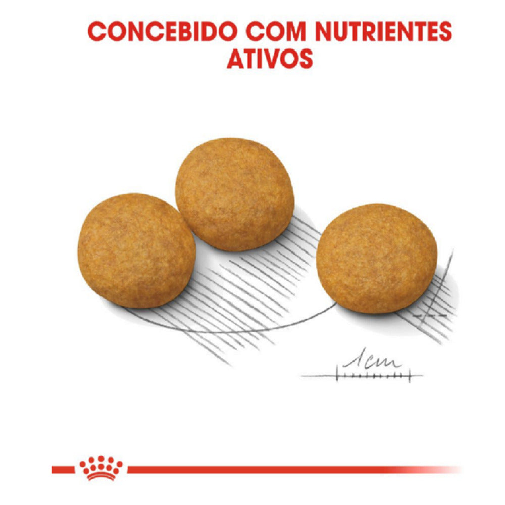 Royal Canin Maxi Dermacomfort – Ração para Cães Adultos/Idosos de Raça Grande com Pele Sensível