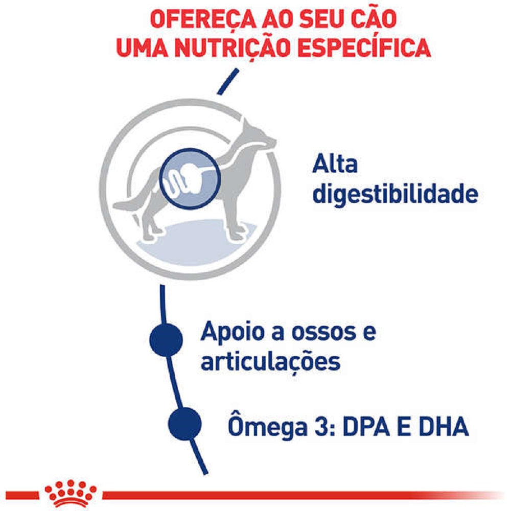 Royal Canin Maxi Adult – Ração para Cães de Porte Grande