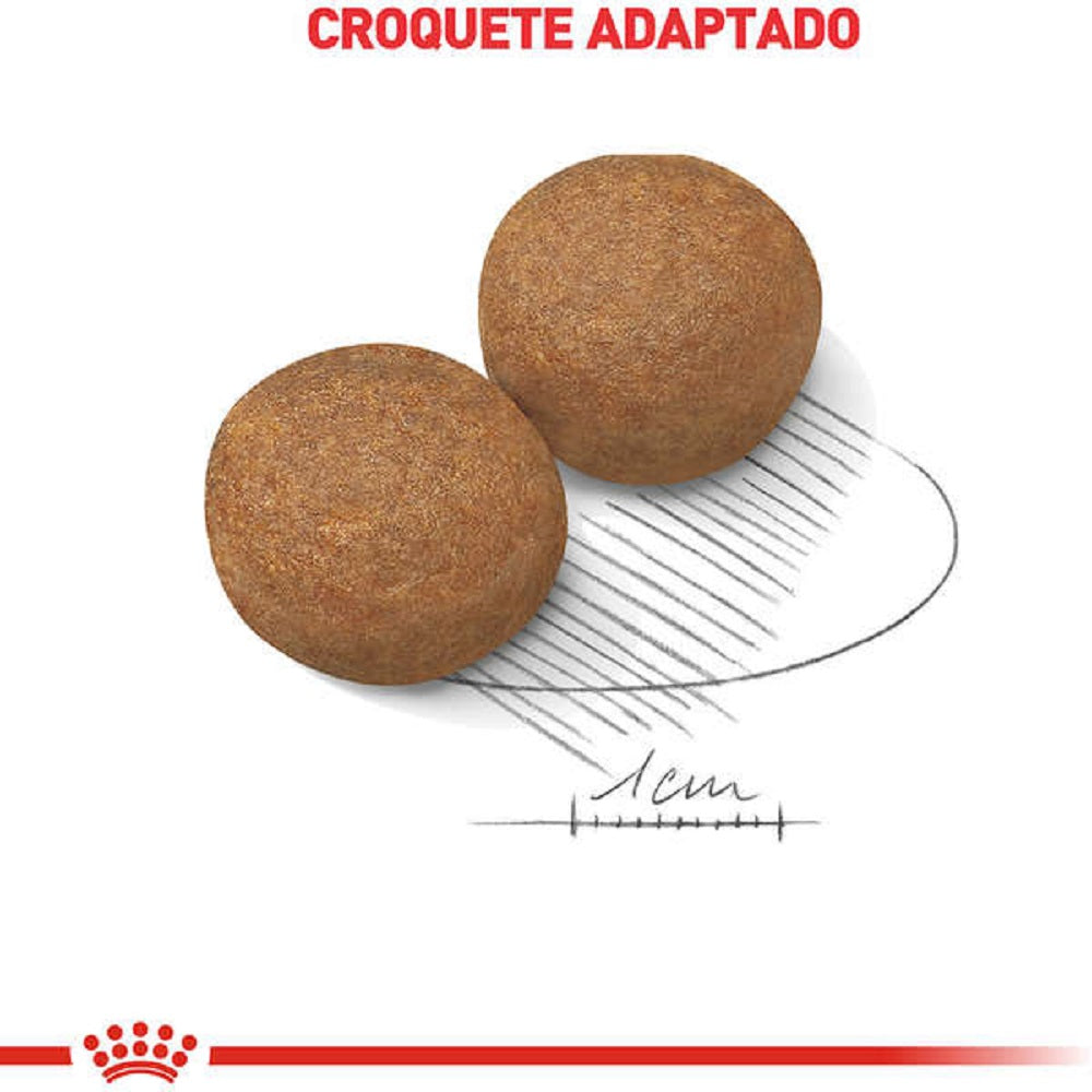 Royal Canin Maxi Adult – Ração para Cães de Porte Grande