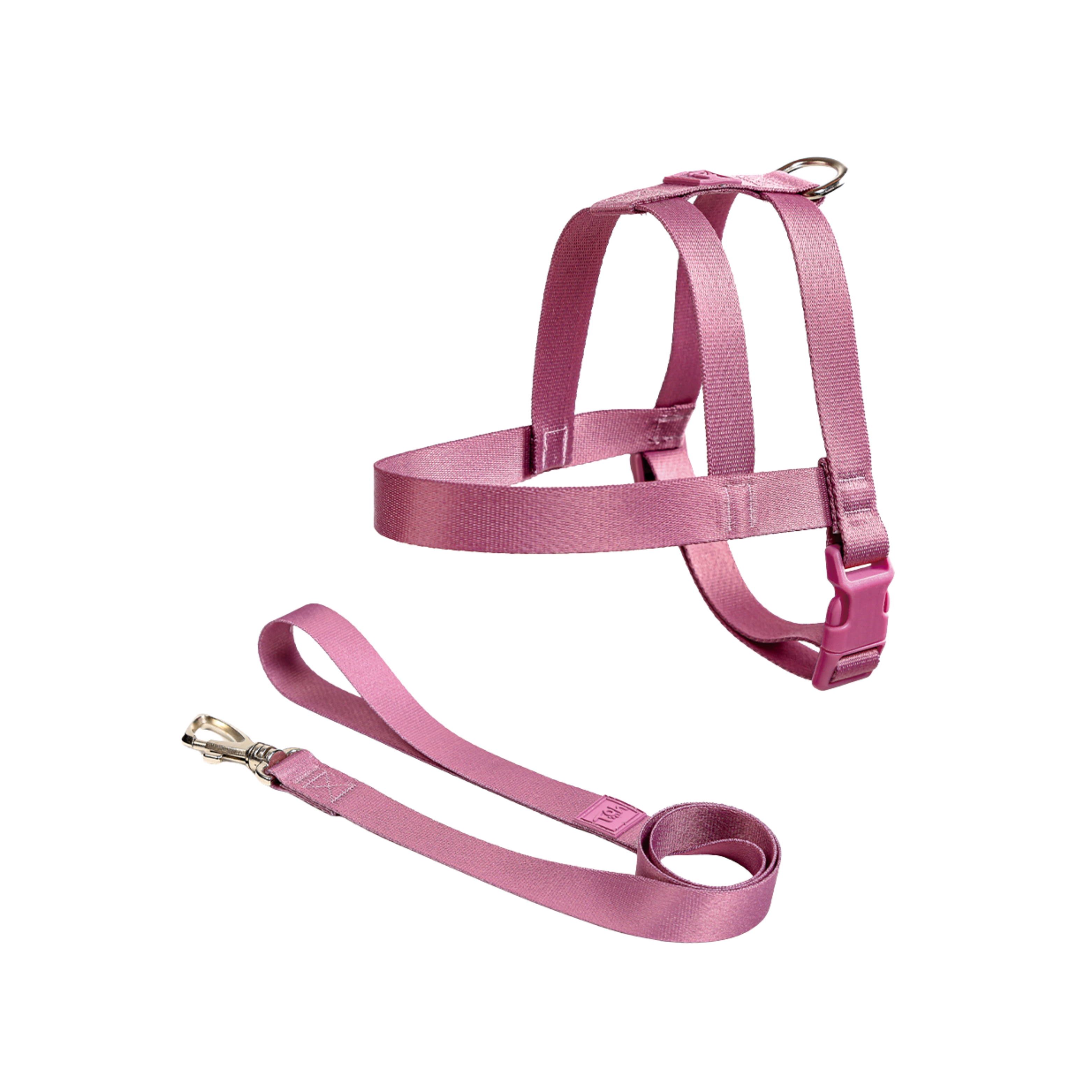 Conjunto Peitoral Tradicional e Guia Toh para Cães