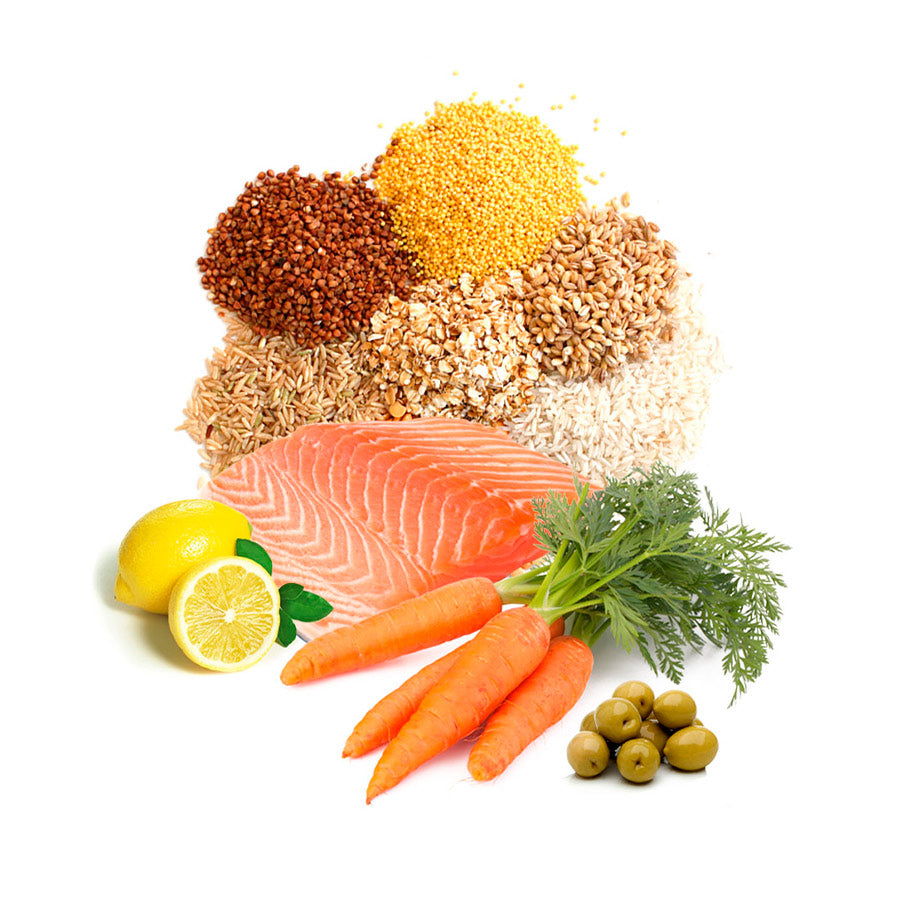 Ração Seca Prodac Pondsticks para Cachorros