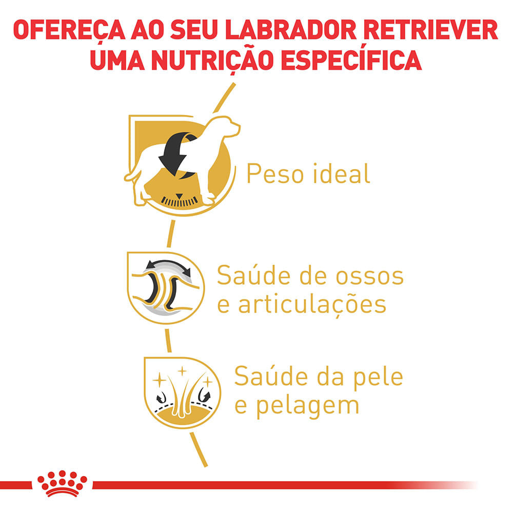 Royal Canin Labrador Retriever Adult – Ração para Cães da Raça Labrador