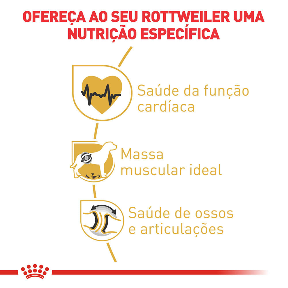 Royal Canin Rottweiler Adulto – Ração para Cães da Raça Rottweiler