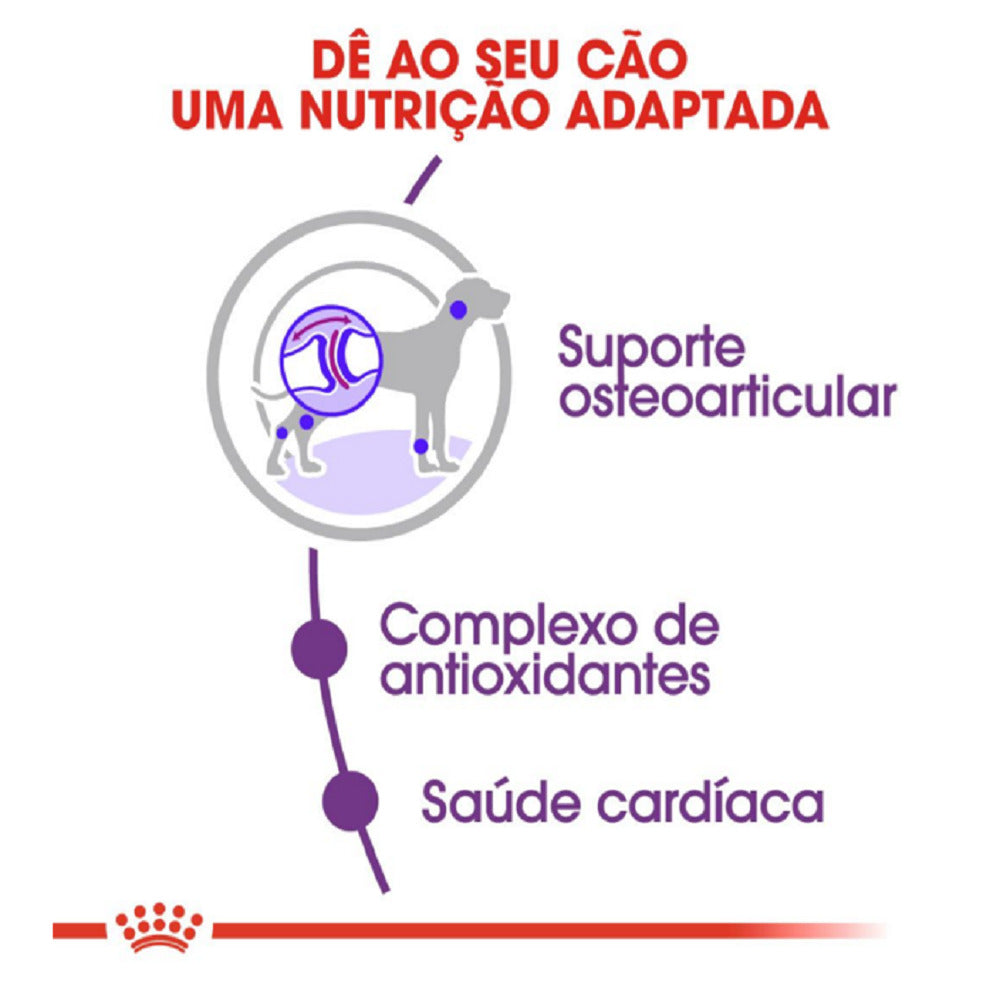 Royal Canin Giant Adult – Ração para Cães de Raça Gigante