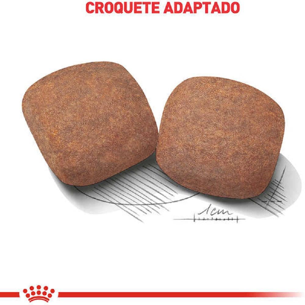 Royal Canin Giant Adult – Ração para Cães de Raça Gigante