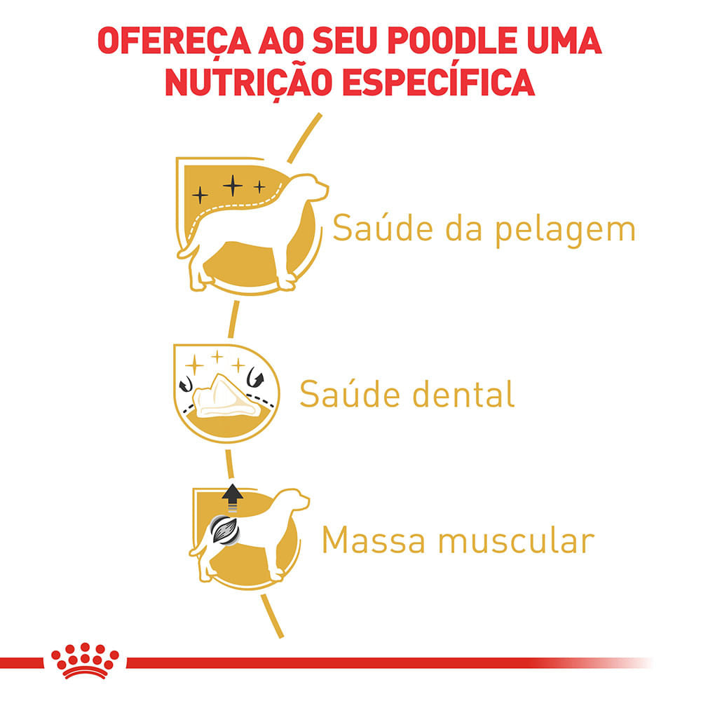 Royal Canin Poodle Adulto – Ração para Cães da Raça Poodle Adulto