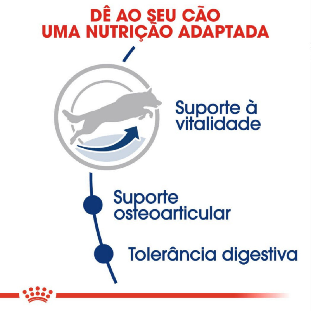 Royal Canin Maxi Adult 5+ – Ração para Cães de Raça Grande