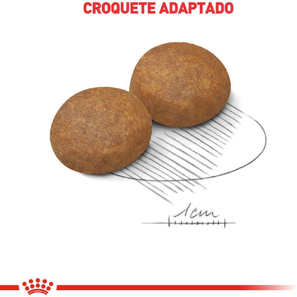 Royal Canin Maxi Adult 5+ – Ração para Cães de Raça Grande