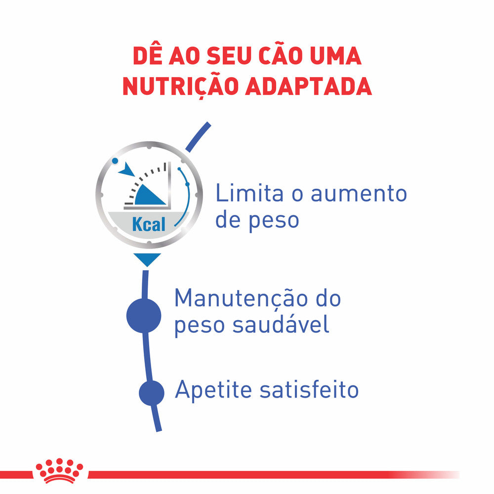 Ração Úmida Royal Canin Light Weight Care Wet 85 g