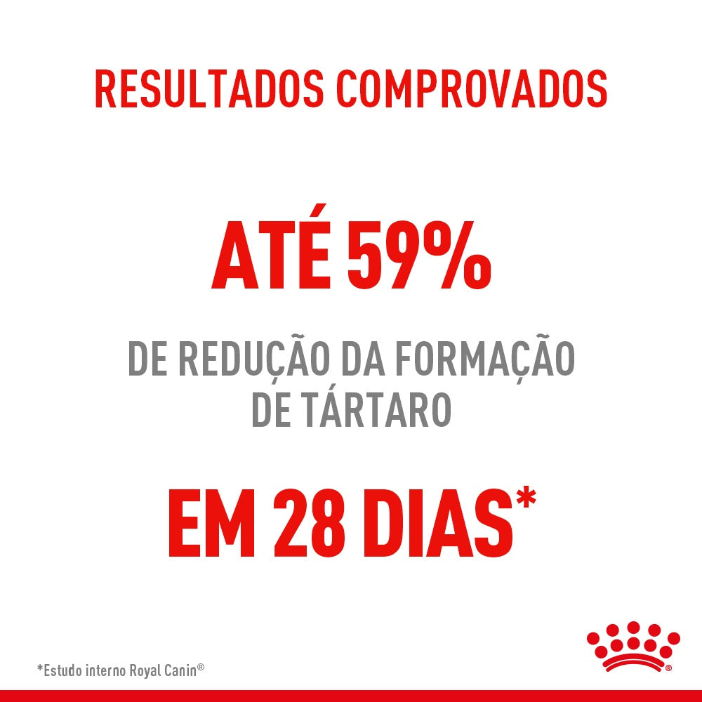 Royal Canin Dental Care – Ração Completa para Gatos Adultos