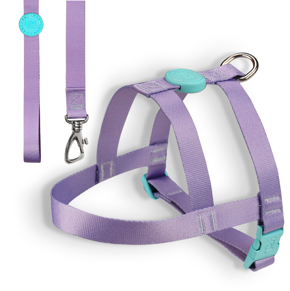 Conjunto Peitoral Tradicional e Guia Toh para Cães